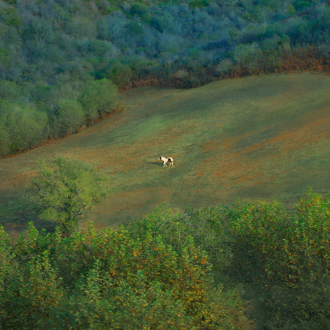 Featured Artwork